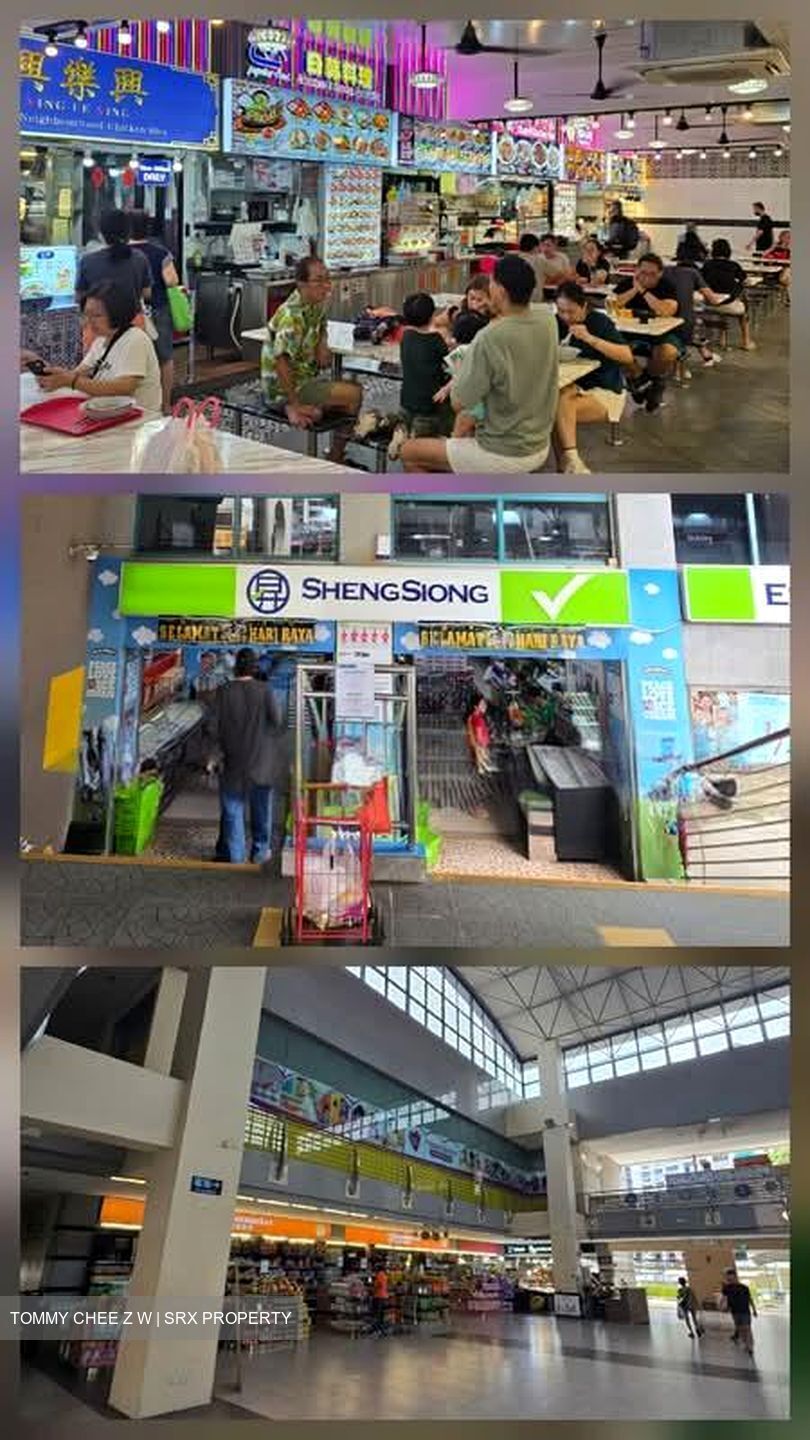 Pasir Ris Beach Park (D18), Terrace #543544401